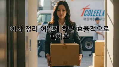 이사 정리, 어떻게 하면 효율적으로 할까요?