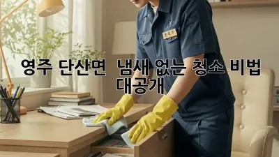 영주 단산면 🏡 냄새 없는 청소 비법 대공개! ✨